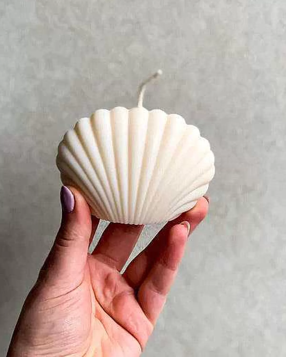 Shell Candle Ivory>JAN 'N JUNE Shop